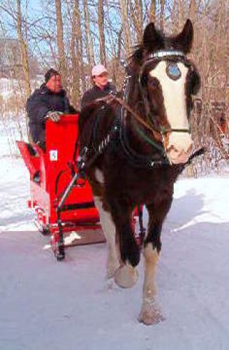 La Whiskey-Machine conduite par Blackcath et son papa, hiver 2006