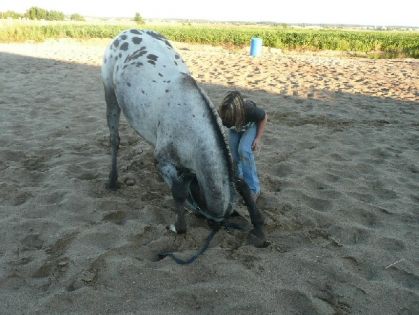 Moi et fancy qui vous fait la révérance