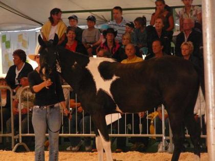 Mon Eclipse au concours cet été