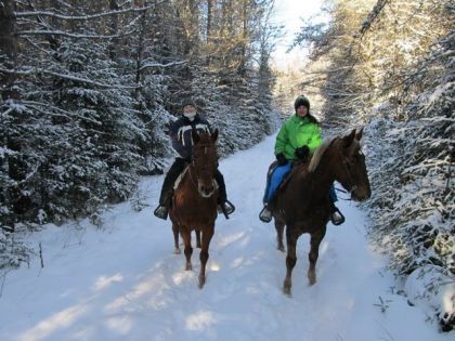 Par une belle journée d'hiver :)