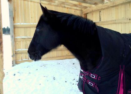 Mon ange &#9829;