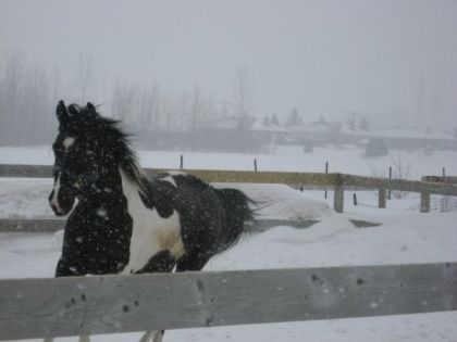 hiver 2009