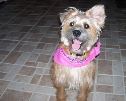 Ma belle petite Heidi! Ptite face d'amour :)