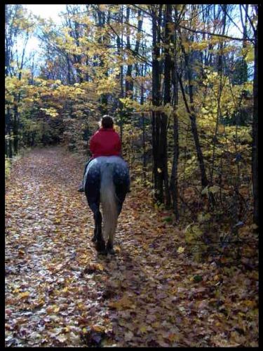 En rando bareback avec Silver. :)