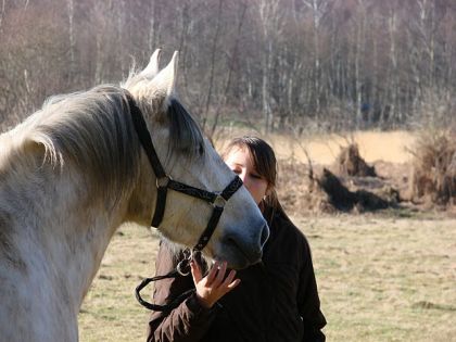 La vue de ce petit cheval m'impressionna d'une manière que je ne...