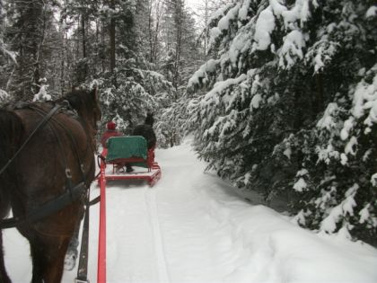 Belle journée 29 janvier 2011