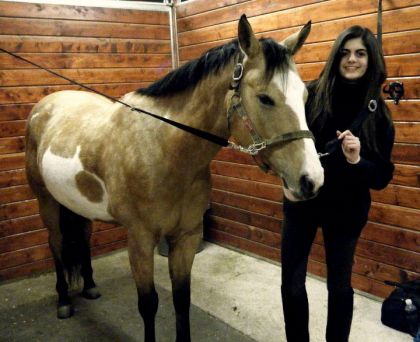 Frosty, le cheval de ma vie avec qui je voudrais rester le reste...