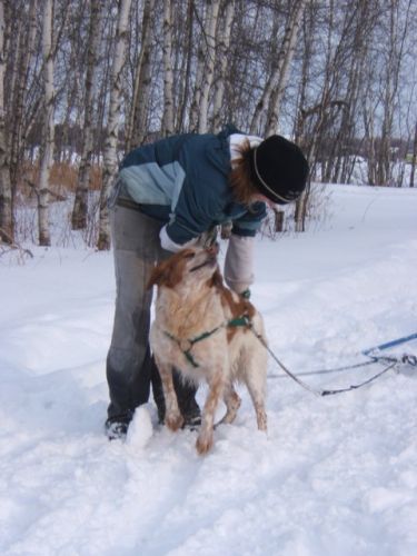 Cet hiver, on va faire du chien de pelle-traineau!