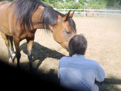 En juin à sa nouvelle écurie. Elle a encore ses bobos de son...