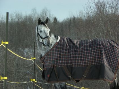 Je l'aime &agrave; la folie <3 Tout simplement (L)