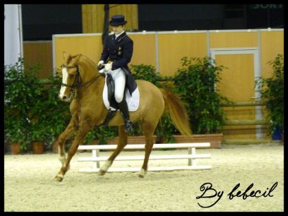 INDOOR de France de Dressage au salon du cheval de Paris 2010