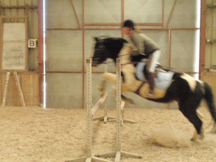 photo par satouk117 saut avec Chipie la jument de Adeline01 (ici sur le site) :D