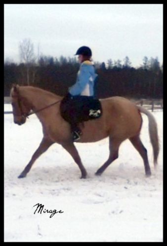 Ma jolie prospect 2011 pour le dressage aerl :) Mirage <3...