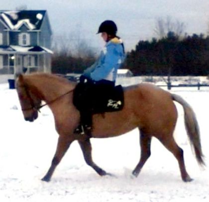 Prospect dressage aerl 2011. Mirage <3