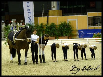 La voltige du salon du cheval de Paris 2010