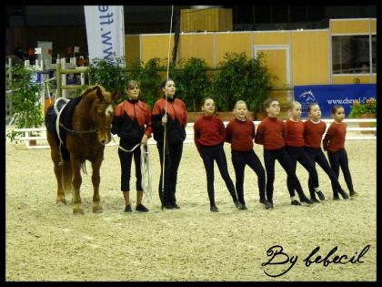 La voltige du salon du cheval de Paris 2010