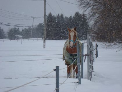la ponette a ma soeur ! Lena :D