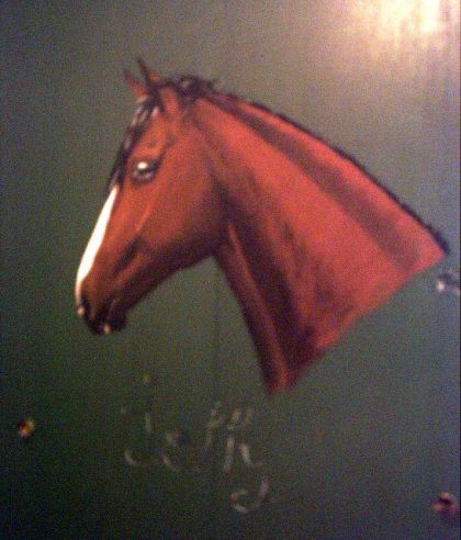 Peinture de ma jument faite sur ma porte de garde-robe.