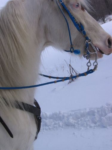 Stormy qui a vue quelque chose bouger ?!?! LOL 