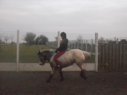il a essayer de faire son con mdrr mais il a pas reussi :D ^