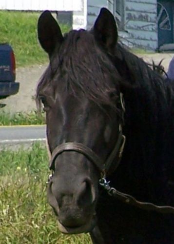 ma belle pitoune!