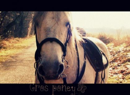 photo par Raedja