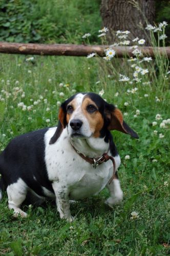Ma grosse toutoune!