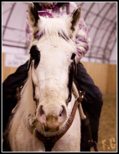 photo par CTrainer