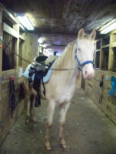 photo par PERLINO