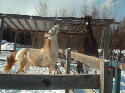 photo par PERLINO