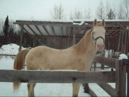 photo par PERLINO