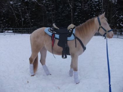 photo par PERLINO