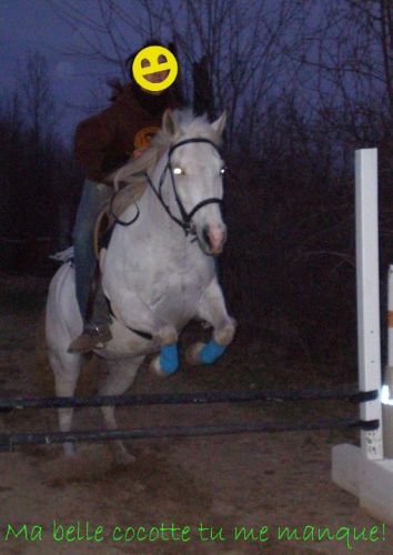 Tina ma belle cocotte tu est parti depuis bientot un an! :'(