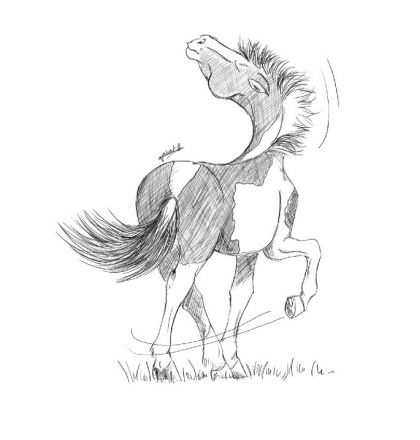 Caricature de mon cheval :-)