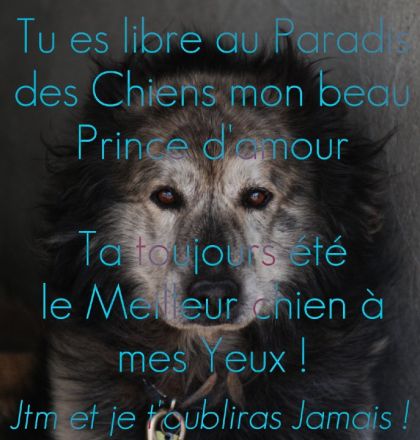 Jtm et je t'oubliras jamais mon Prince <3