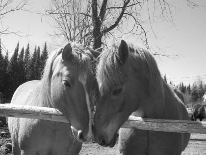 photo par Tie-noir<3