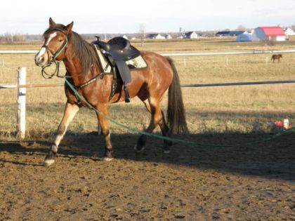 Henri version western!
