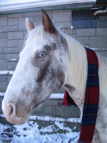 Prête pour l'hiver la mère ! :)
