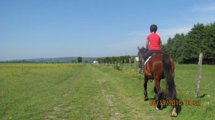 Vivement l'été !