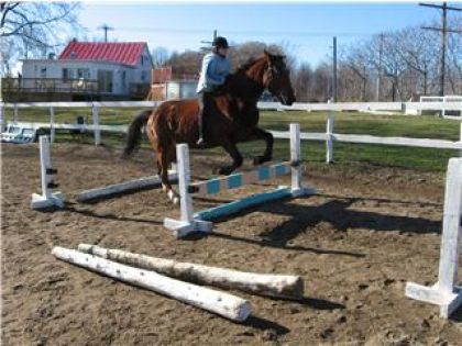 Mon premier saut sans selle avec copin, et ce n