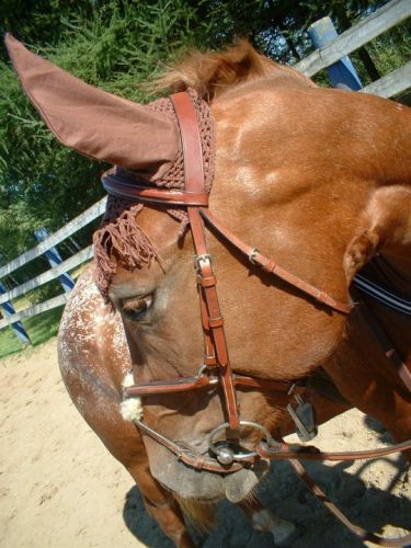 Mon Poney tout simplement  :)