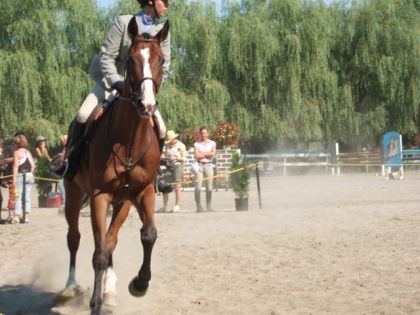 J'aime comment elle est prise la photo! C'est dans les premiers...
