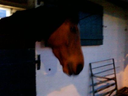 photo par amandine59