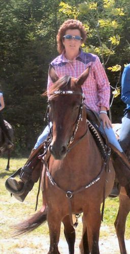 Cavalière et cheval brun