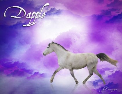 Un Cadeau de Dapple fait par  LyneV :D (L)