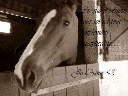 Comment est-il possible de ressentir autant de sentiments pour...