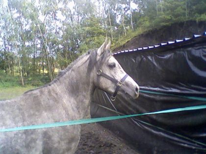 photo par kheops89
