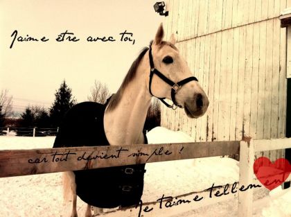 mon gros bb&eacute; sterling (L)