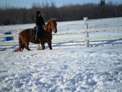Mon et mon gros dans la neige :)