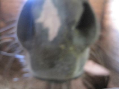 Babine d'un cheval :P